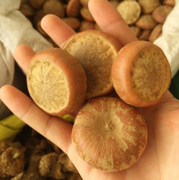 马蹄果 野生山马蹄 天竺粒菩提子 莲花座 天竺子