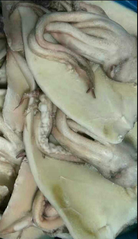 冷冻鱿鱼片带头鱿鱼片去头鱿鱼片鱿鱼片自助餐酒店烧烤专用食材