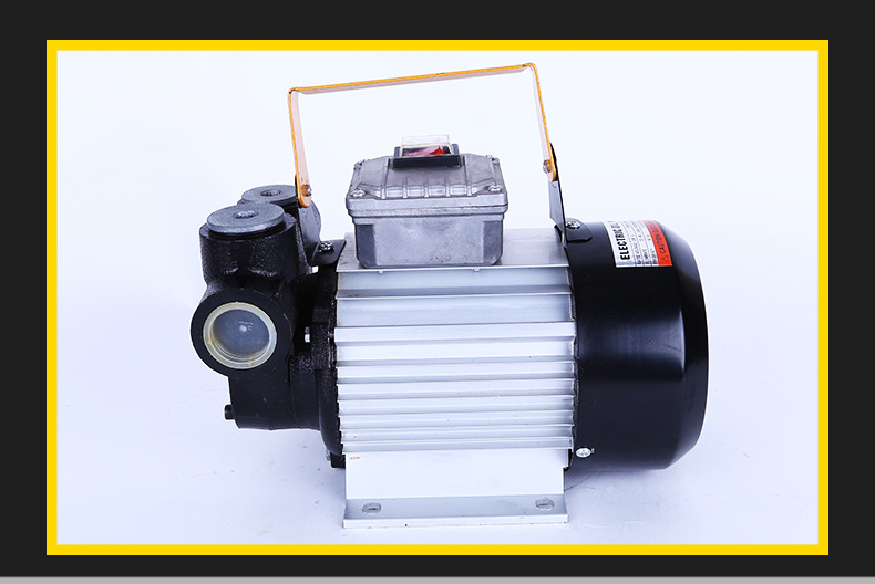 550w大功率电动抽油泵220v电动加油机柴油煤油抽液泵