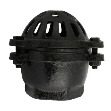 螺纹底阀水泵抽水h12x铸铁丝口底阀dn25铁莲蓬头dn50水泵莲蓬头