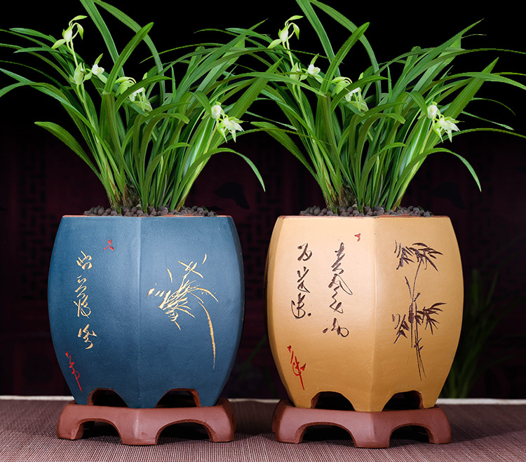 紫砂花盆兰花盆君子兰墨兰四季兰树桩盆景盆多肉植物绿萝盆栽批发