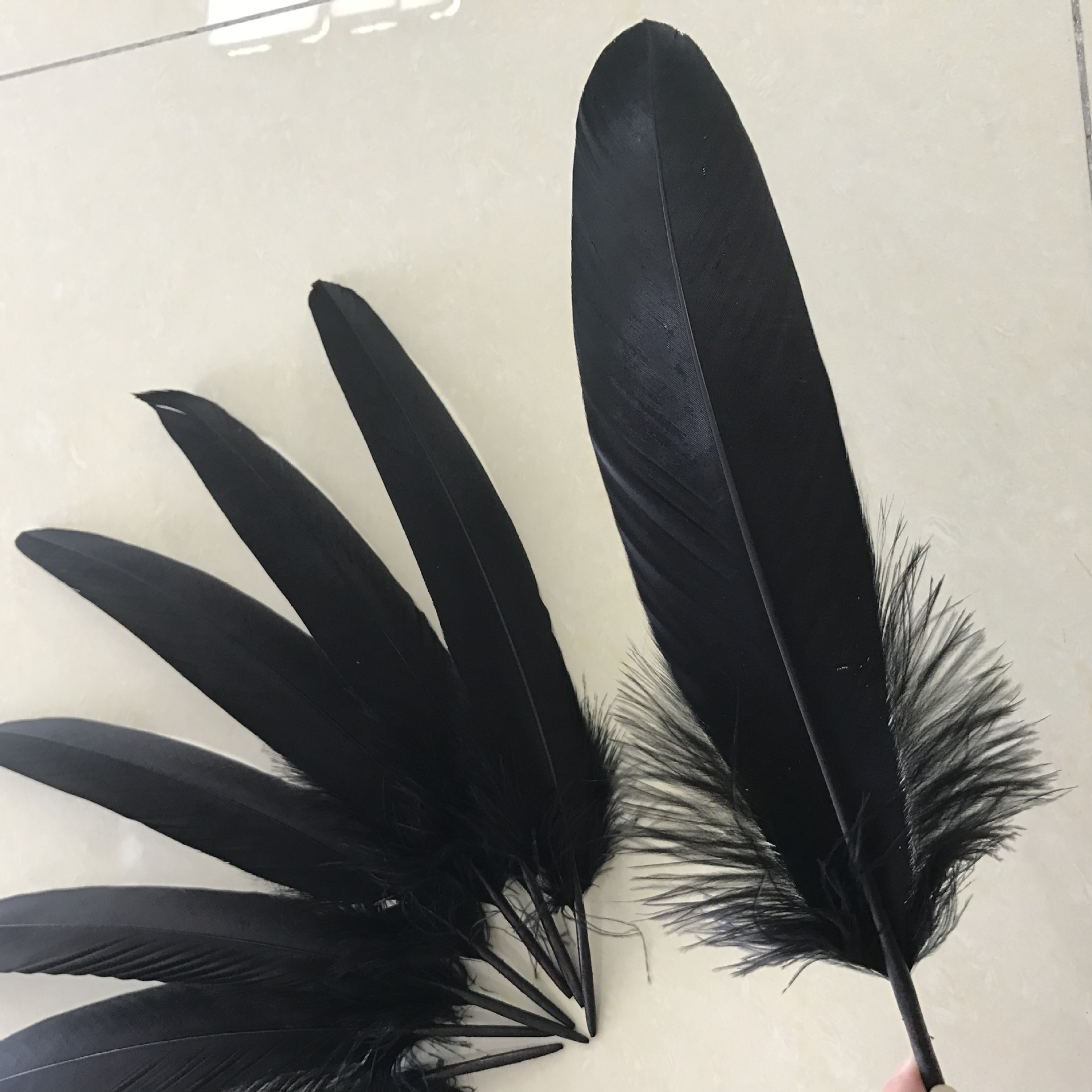 亚马逊热销 现货 漂亮羽毛老鹰毛 批发 价格优惠