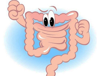 6,肠蠕动减慢:老人随着年龄增长,各种机能减退,肠管的张力和蠕动减弱