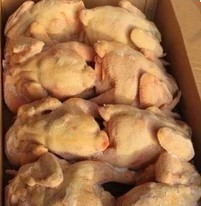 冷冻三黄鸡山东