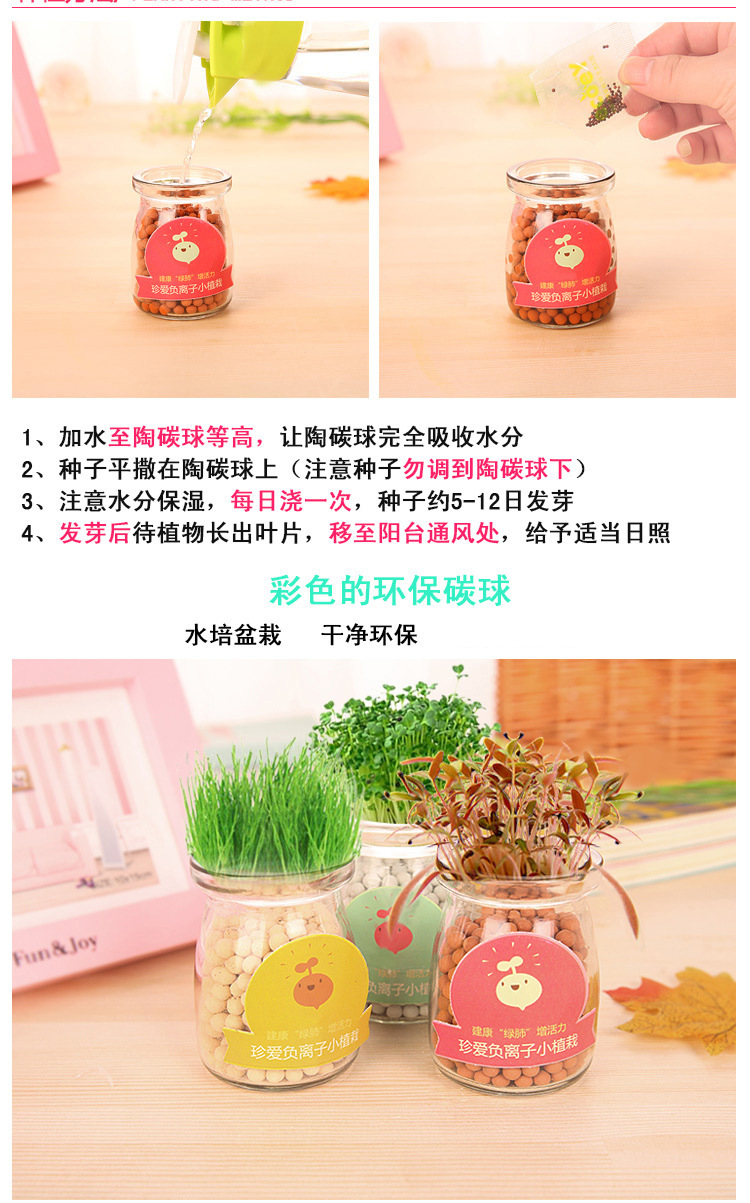 办公室桌面盆栽 室内负离子陶碳球小盆景 迷你植物种子微景生态瓶