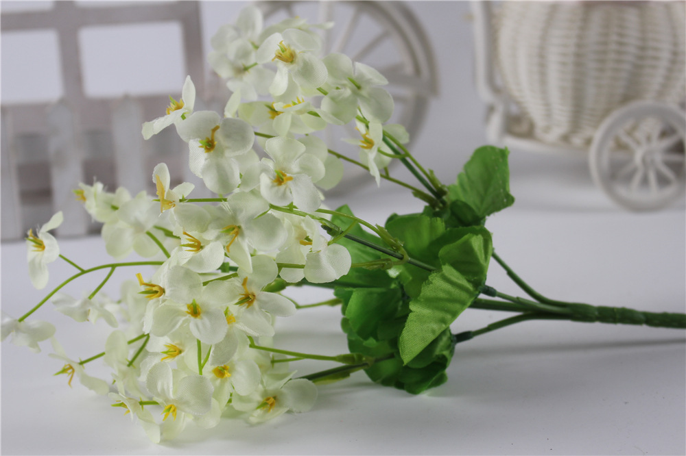 5杈60目迎春花春色白色