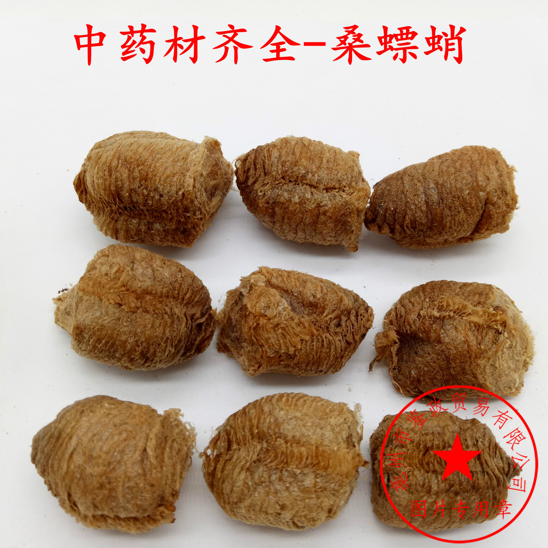 桑螵蛸 产地批发中药 熟大绵桑螵蛸 清水熟桑螵蛸另有生桑螵蛸刀