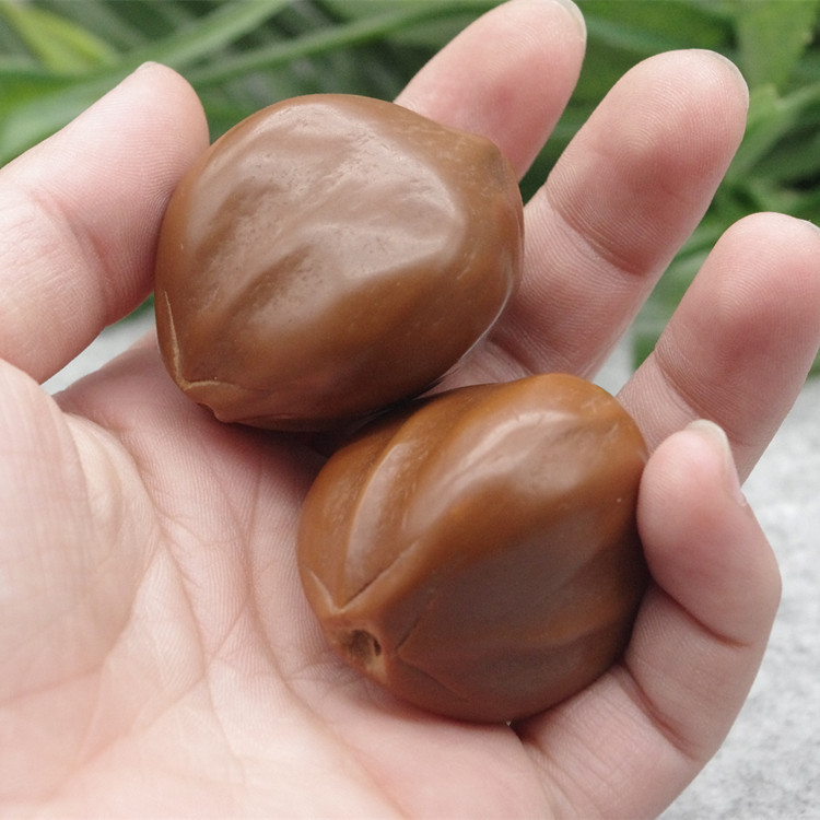 厂家直销红润核雕橄榄核原籽原料核雕工艺摆件原料肚直径35-40mm