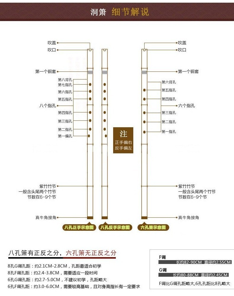 洞箫乐器初学者演奏古朴长箫六八孔一节入门成人紫竹萧赠配件
