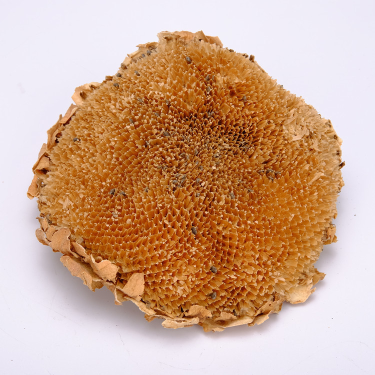 亳州华荣堂-亳州华荣堂厂家,品牌,图片,热帖-阿里巴巴