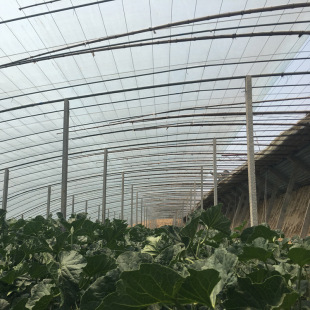 供应蔬菜大棚膜聚乙烯塑料透明农用薄膜塑料膜温室大棚膜