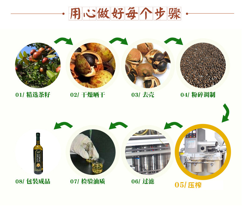 供应 浙江厂家生产物理压榨一级山茶油食用植物油