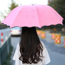 晴雨伞两用遇水开花三折叠黑胶防晒防紫外线小清新太阳伞印刷LOGO