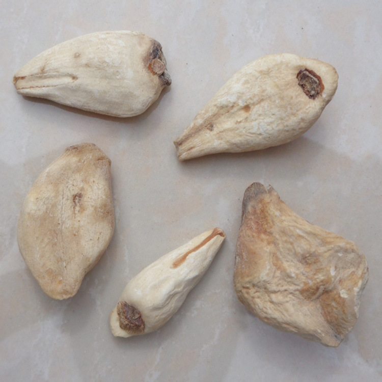 中药材秋水仙草原藏红花索龙江代加工超细粉