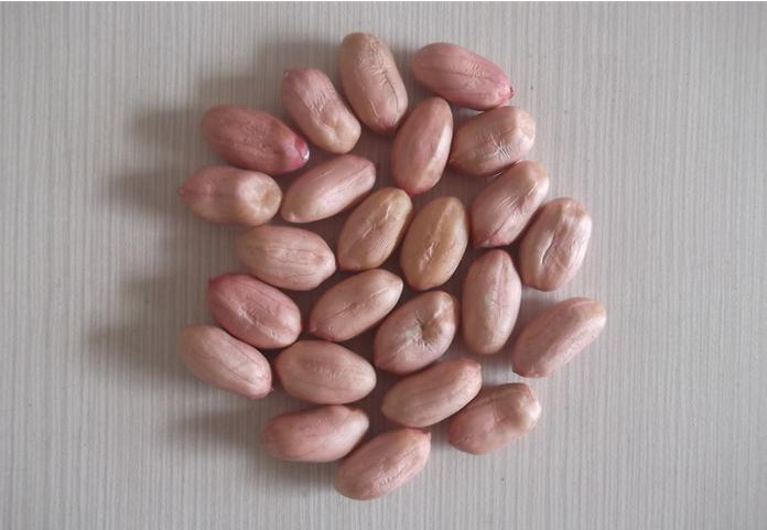 相府果子批发鲁花花生种子相府花生1号 优质花生种