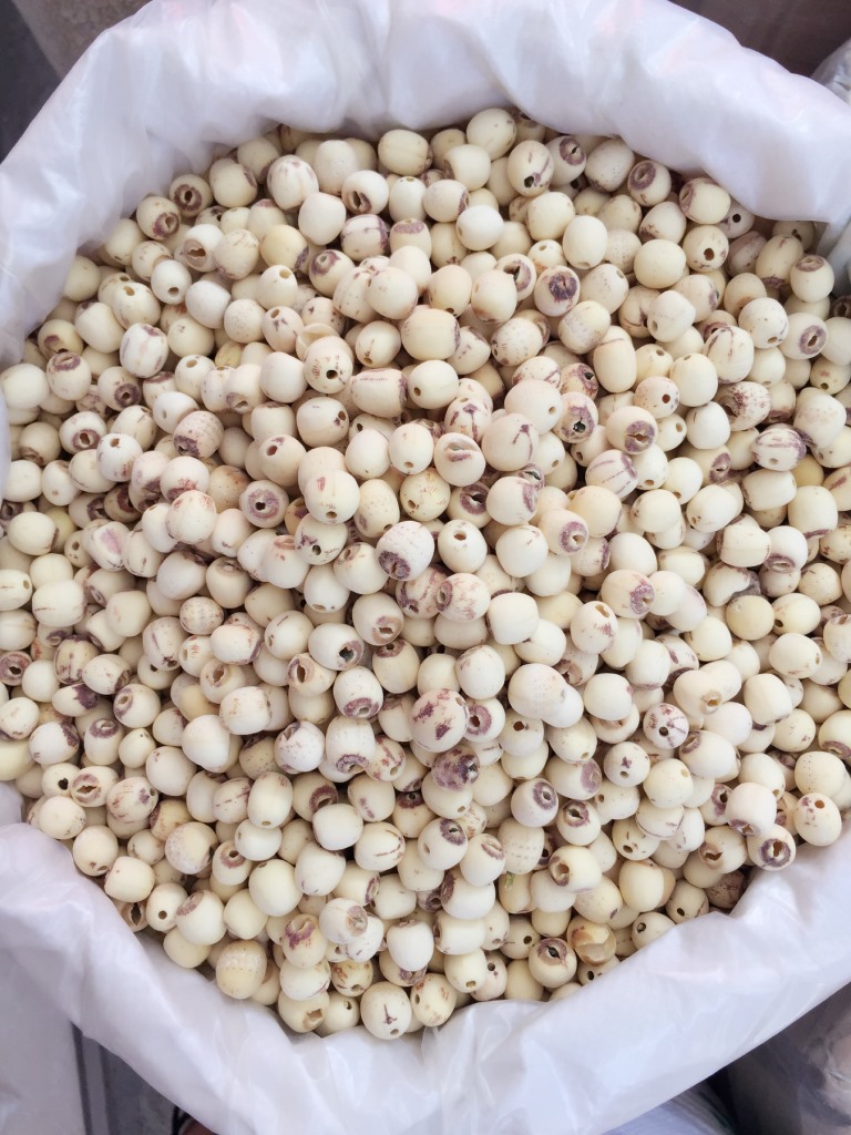新货湖南湘潭去芯白莲子 白莲子干货 去芯莲子 散装25kg 量大从优