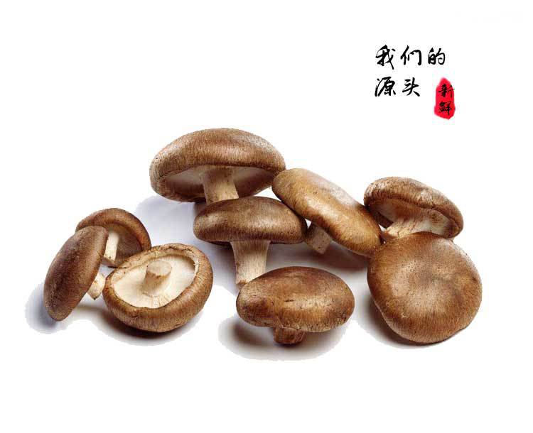 悠然派 65g香菇干脱水即食蔬菜干休闲零食