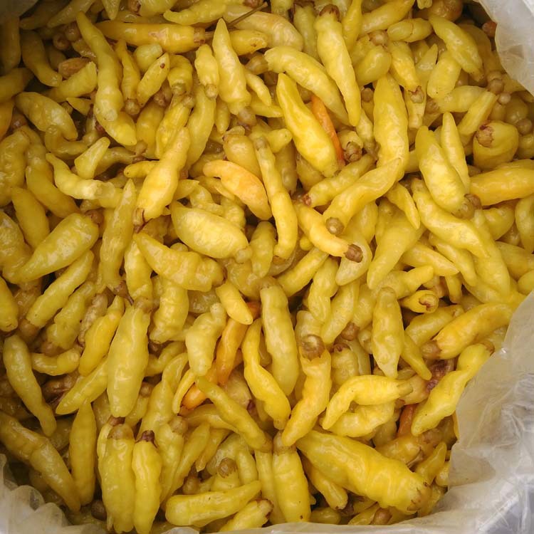 厂家泡小米辣椒四川泡野山椒小米椒泡辣椒凤爪30公斤散装泡椒批发