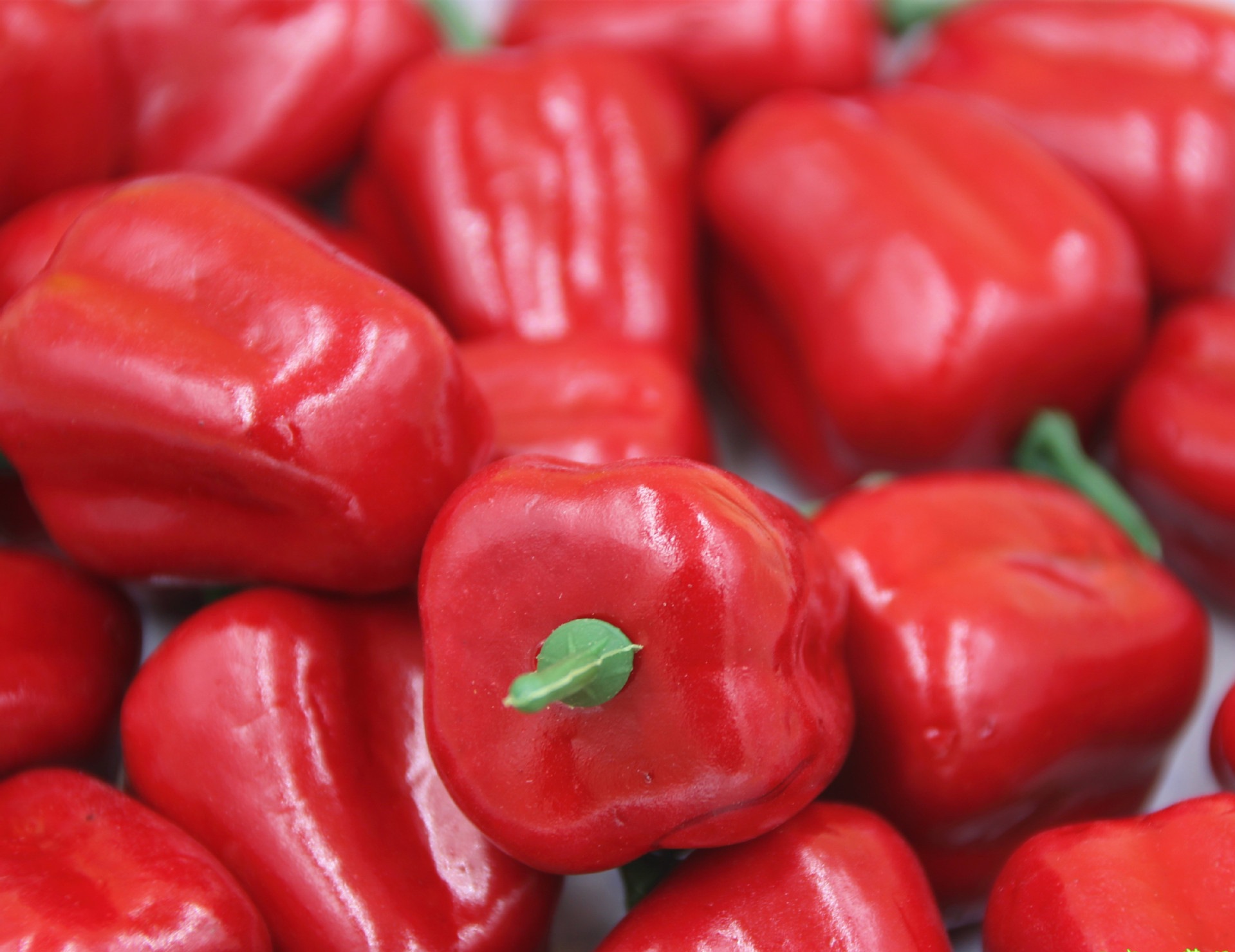 小红辣椒 仿真灯笼椒 假迷你小水果批发橱窗展示装饰道具