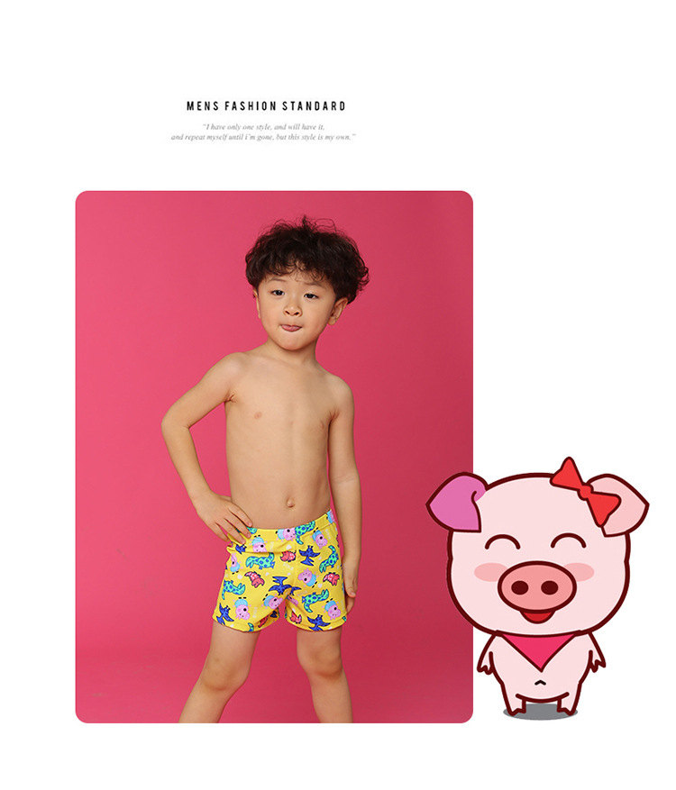 2018夏季新款儿童泳衣 男童泳裤bikini比基尼批发 一件代发