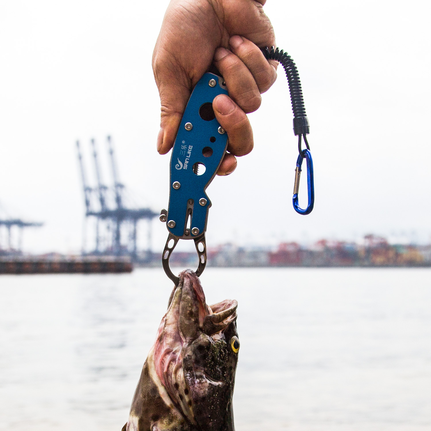 新款路亚多功能控鱼器 钓鱼工具 不锈钢便携夹鱼钳渔具配件批发