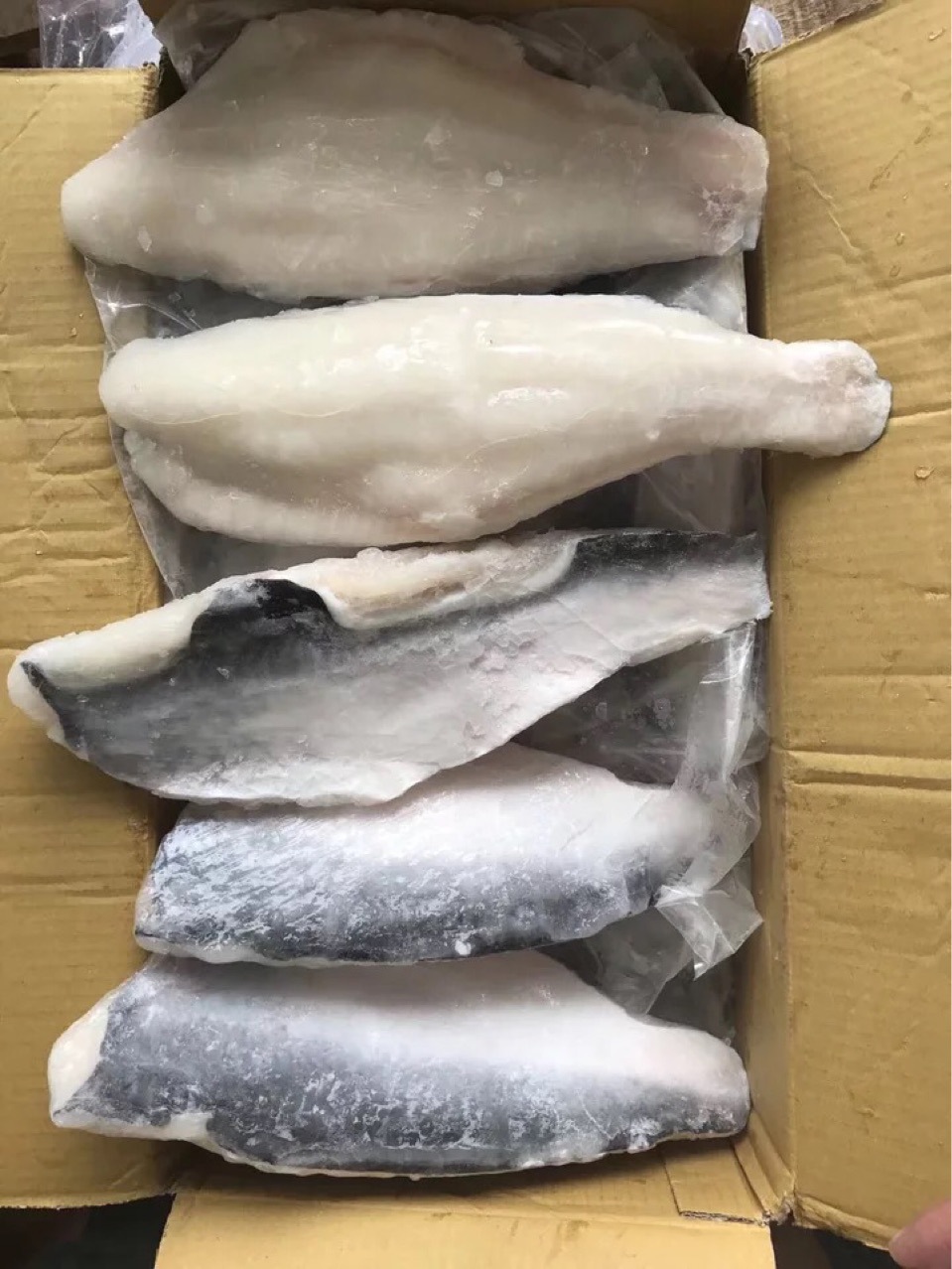 带皮龙利鱼柳 巴沙鱼柳 带皮鱼柳 20斤每件