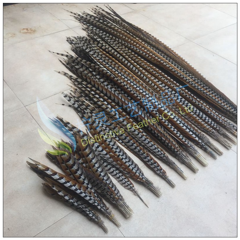 地鸡毛 雉尾 野鸡羽毛 京戏翎子 舞台演出戏曲俏花旦头饰