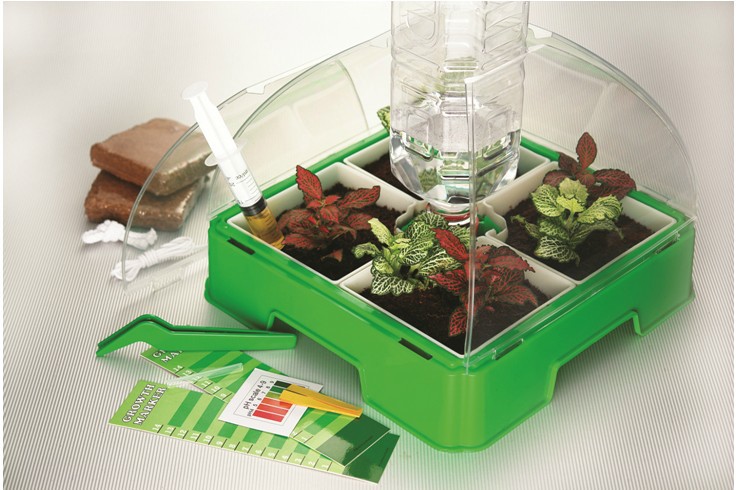 无土栽培 生态实验活动套装 幼儿园土壤培育器材