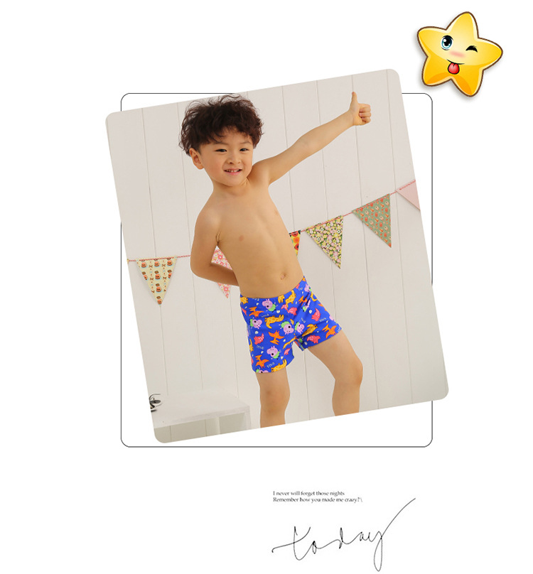 2018夏季新款儿童泳衣 男童泳裤bikini比基尼批发 一件代发