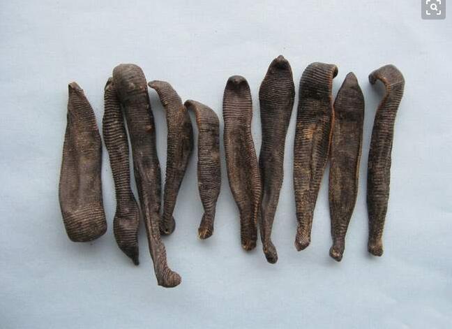 水蛭素 800iu/g活性单位 50g小包装 113274-56-9 水蛭素