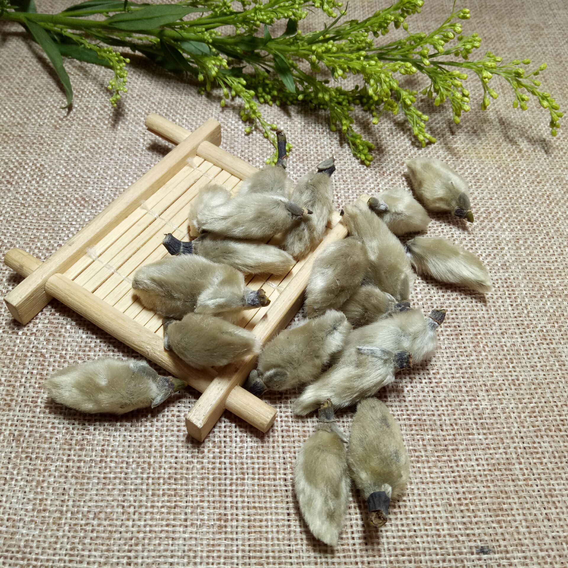 中药材批发零售 辛夷花 毛桃 药食同源 支持代发