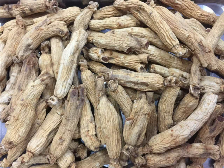 东洋参批发高丽参大力参六年根整枝20支30支参可切片打粉