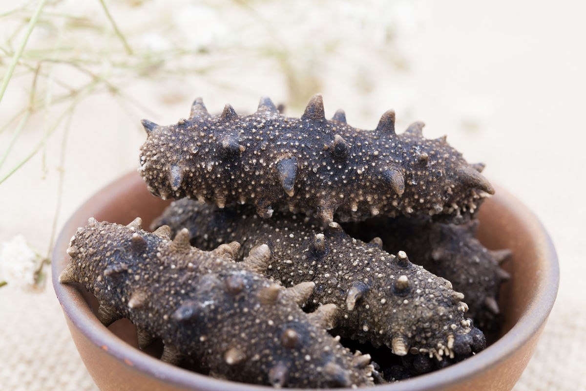 干贝的营养价值及功效与作_干贝营养_干贝的营养价值