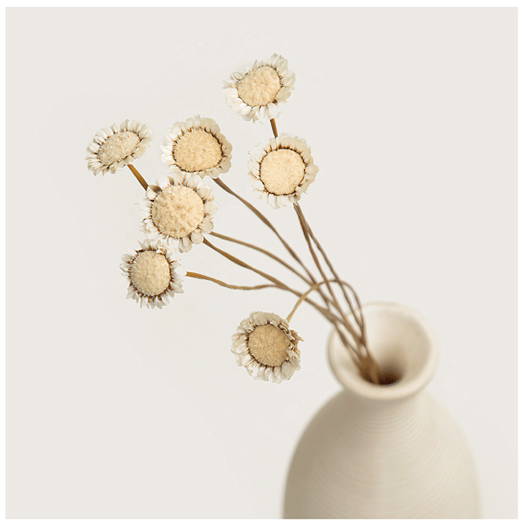 天然玛格丽特花束清新艺术干花 小干花 真花永生花家居装饰批发