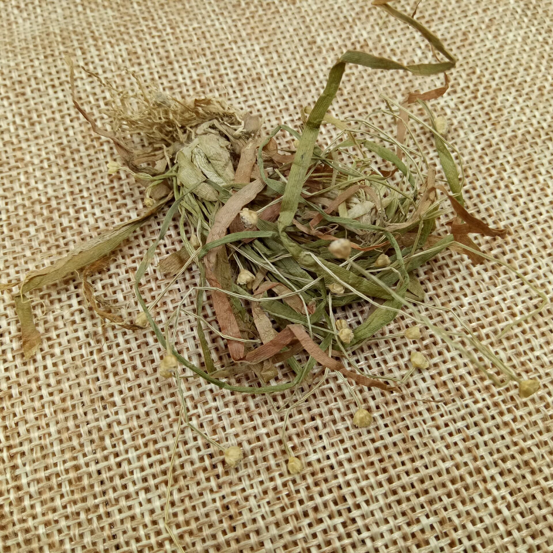 批发中药材 谷精草 谷精珠 流星草 货干无杂质 大量现货一件代发