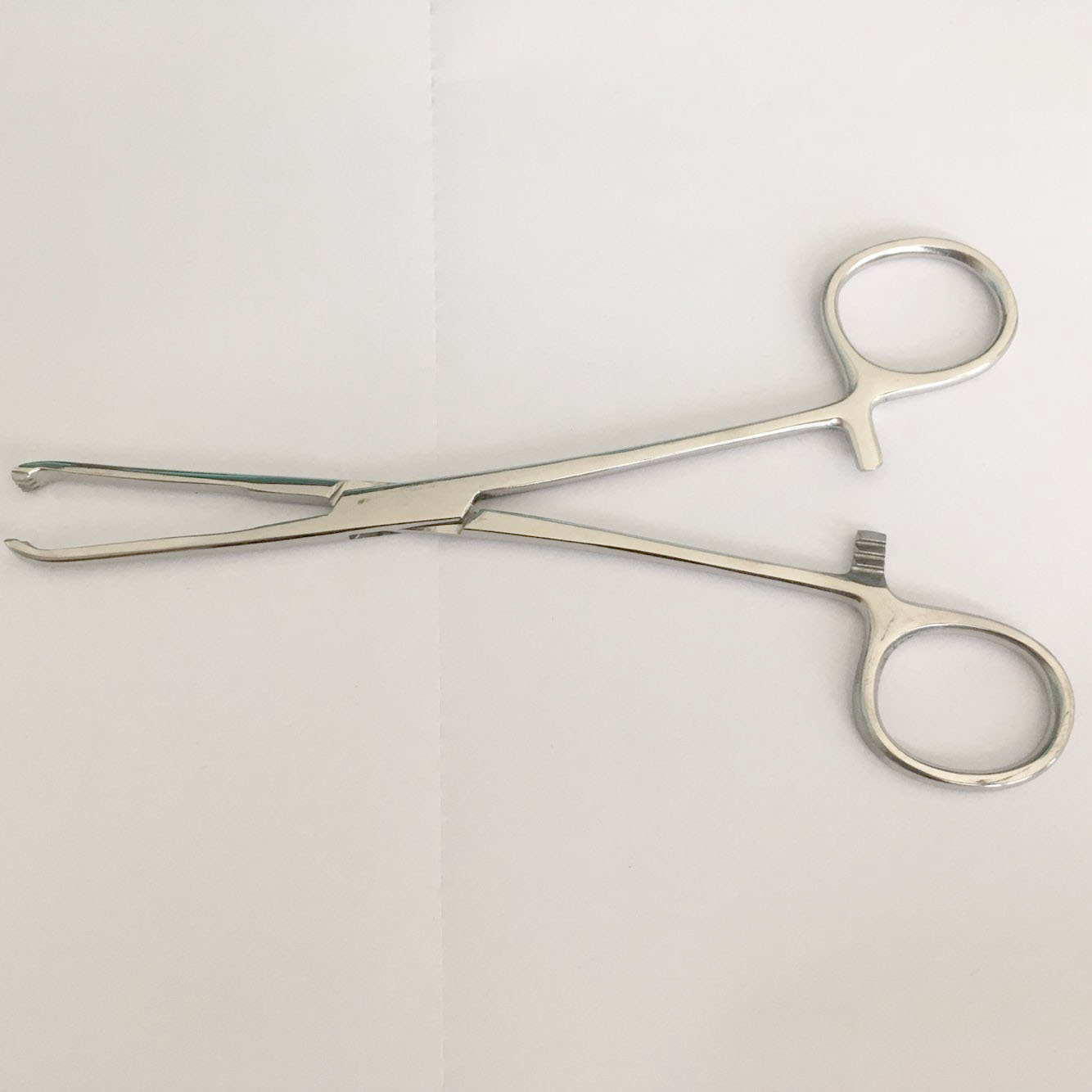 不锈钢爱丽丝钳提取钳组织钳鼠齿钳医用练习组织钳现货