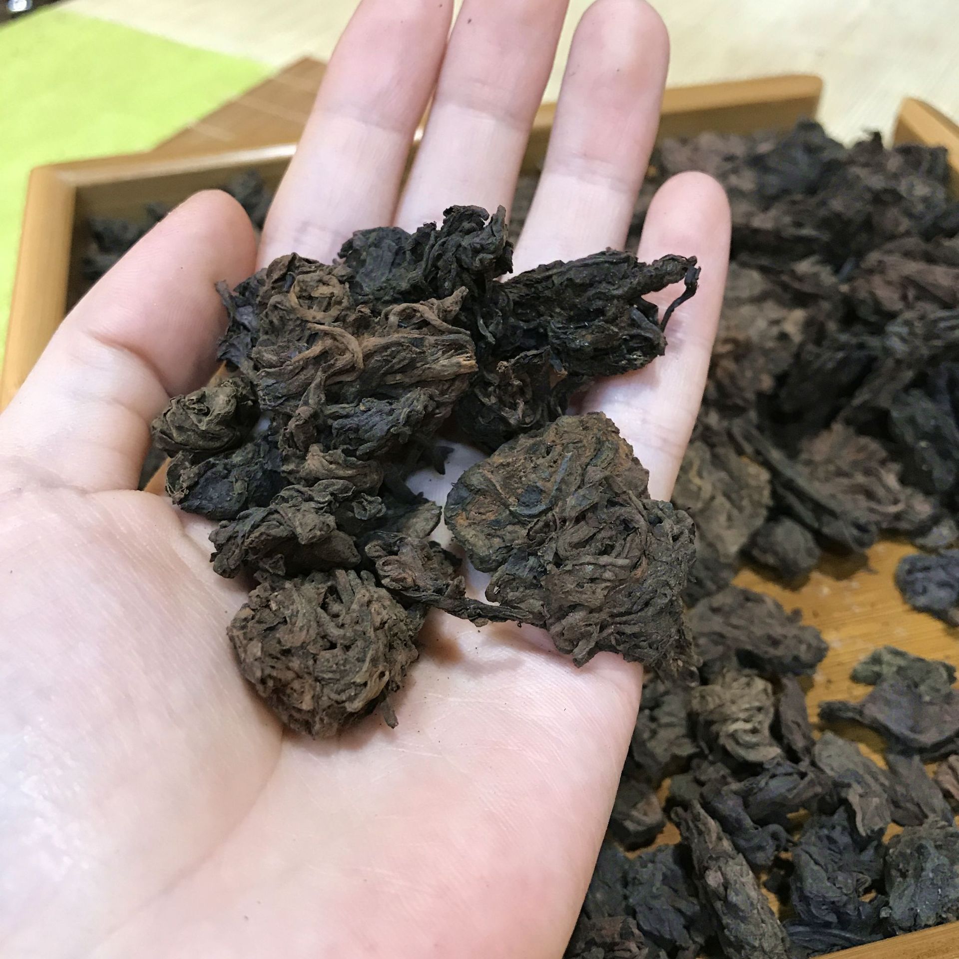 90年代樟香老茶头疙瘩茶普洱茶熟茶散茶