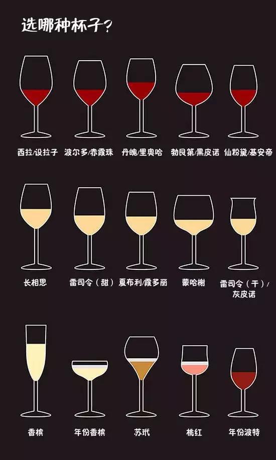 红酒酒具使用方法图解图片