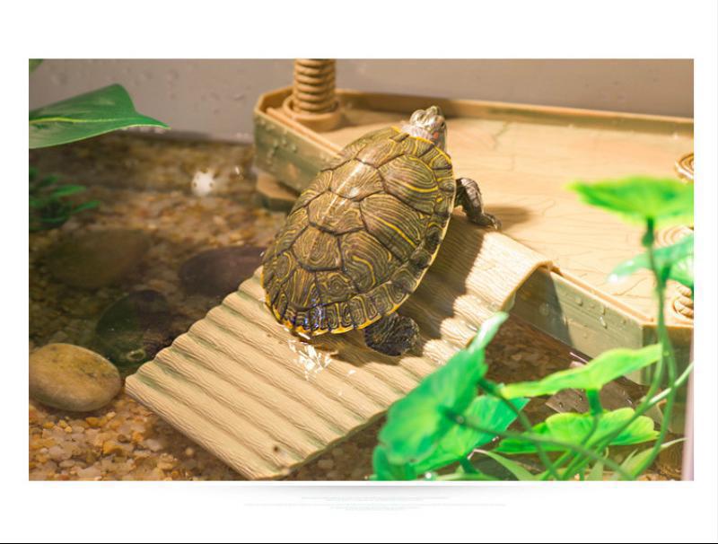 水族箱鱼缸乌龟晒台 乌龟造景晒台龟台乌龟晒台爬台乌龟浮岛 小号