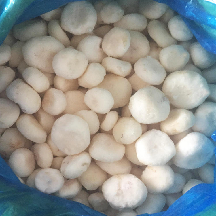 速冻马蹄粒 冷冻马蹄整粒(荸荠)iqf water chestnut速冻蔬菜