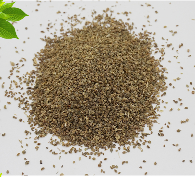 批发供应芹菜籽 芹菜籽粉 中药材 量大从优各种籽类药材
