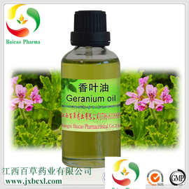 玫瑰香叶油 天竺葵甜香植物萃取薄荷气息美容院按摩精油厂家批发