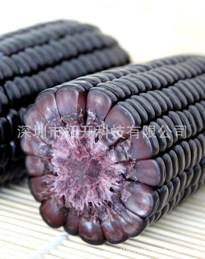 五谷杂粮种子 黑粘玉米种子 黒糯玉米玉米棒鲜食玉米种子50克/包