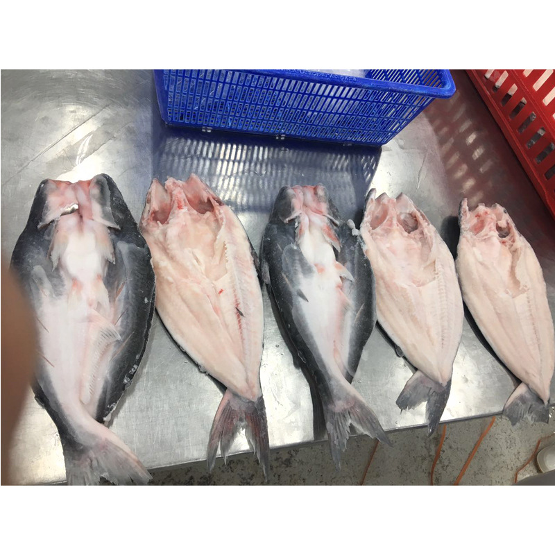 越南开片鱼开背巴沙鱼酒店食材烤鱼龙利鱼10片装/12片装-阿里巴巴