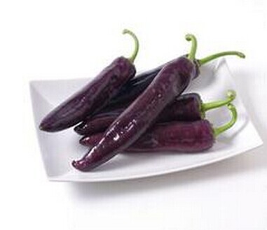 紫冠羊角椒种子 蔬菜种子 紫色辣椒 中熟 辣味浓 颜色独特 3克/包