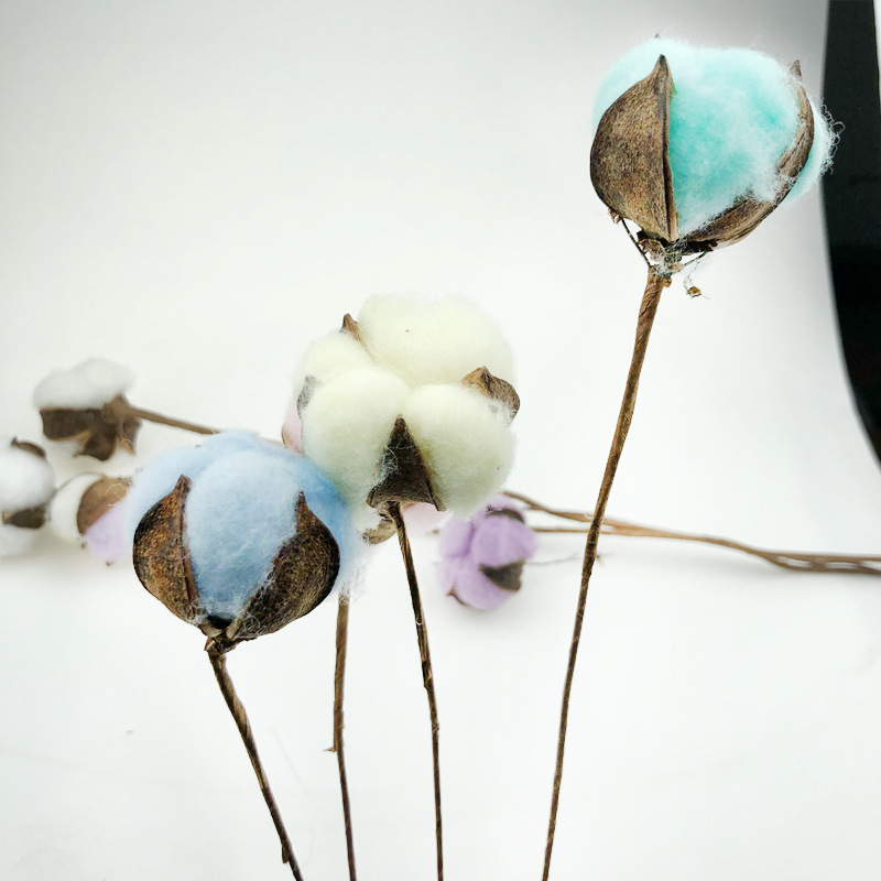 棉花干花花束diy鬼怪永生花单枝小清新迷你客厅天然风干插花材料