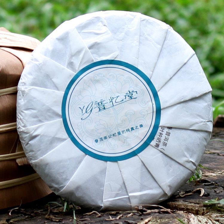 厂家批发云南普洱茶忆冰岛勐库大叶茶茶叶经 刚性风格经典 名山