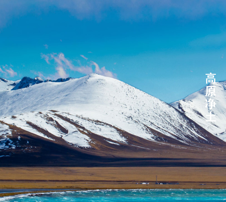 卓玛泉——匠心之作