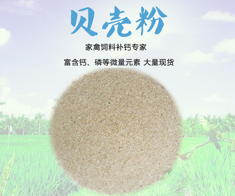 贝壳粉 饲料级 蛋鸡鸭鹅 鸽子 用 细颗粒贝壳粉钙饲料添加剂