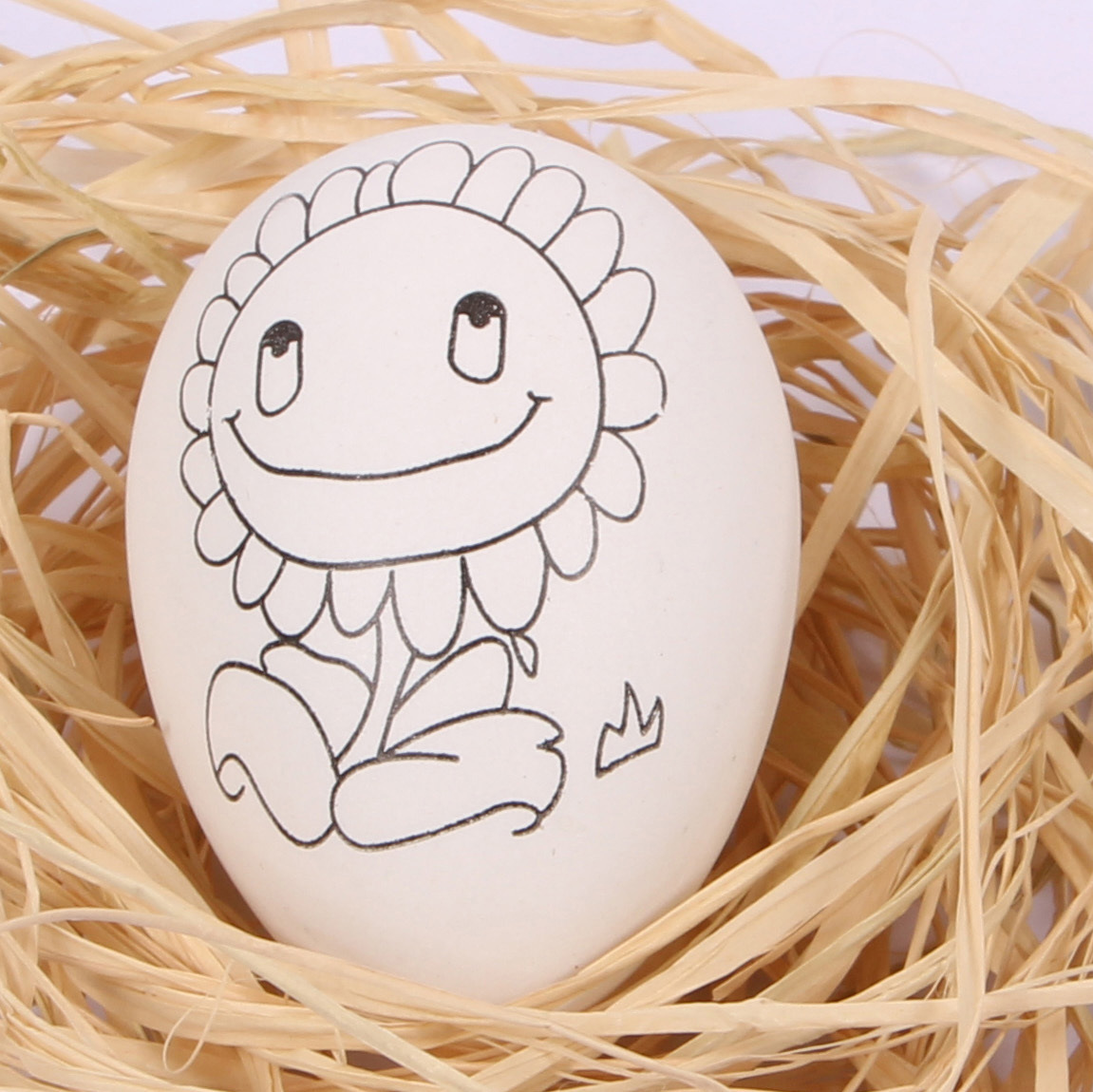 彩绘diy塑料彩蛋儿童手工复活节仿真鸡蛋壳填色/ 6*4cm双面印刷